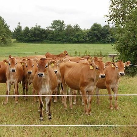 Gite A La Ferme, Au Coeur Du Mene Laurenan Eksteriør billede